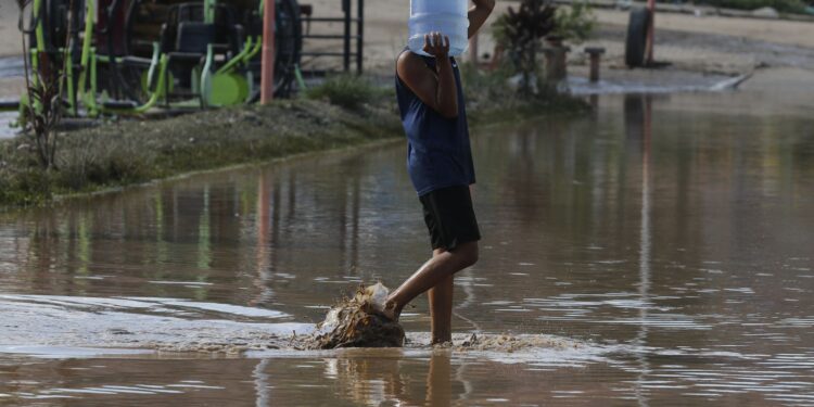 especialistas-alertam-sobre-risco-de-doencas-trazidas-por-chuva-forte