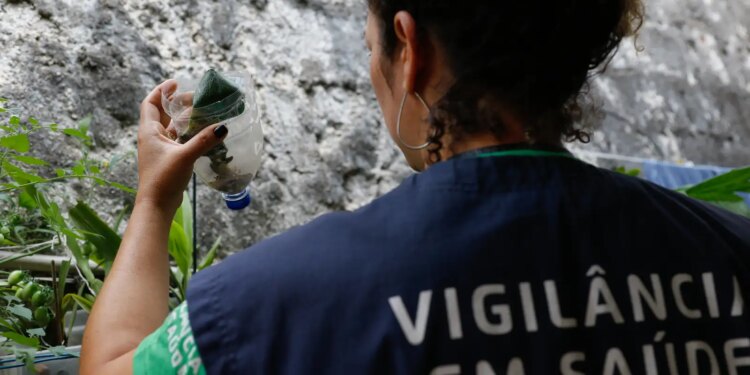 minas-gerais-confirma-segunda-morte-por-dengue