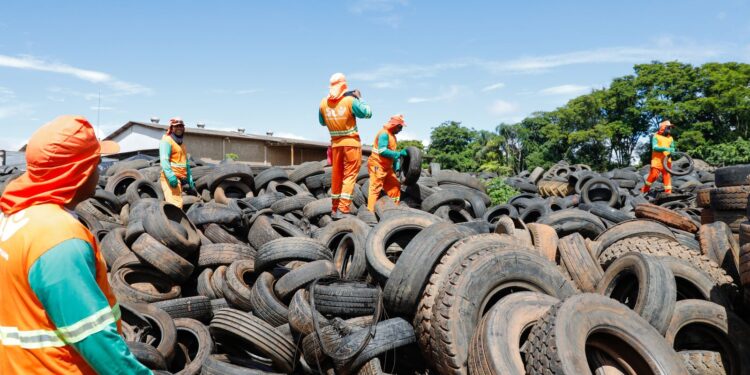 brasil-pode-registrar-ate-4,2-milhoes-de-casos-de-dengue-em-2024