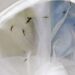 brasil-tem-391-mortes-por-dengue