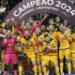 magnus-sorocaba-conquista-titulo-da-copa-libertadores-de-futsal