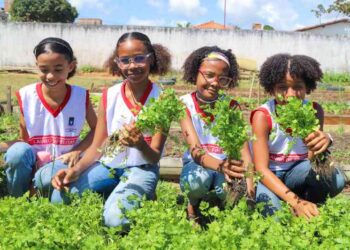 alunos-do-caic,-em-lauro-de-freitas,-participam-de-colheita-na-horta-pedagogica