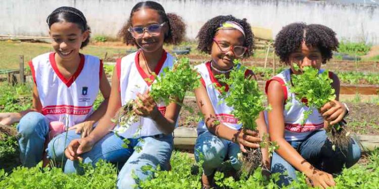 alunos-do-caic,-em-lauro-de-freitas,-participam-de-colheita-na-horta-pedagogica