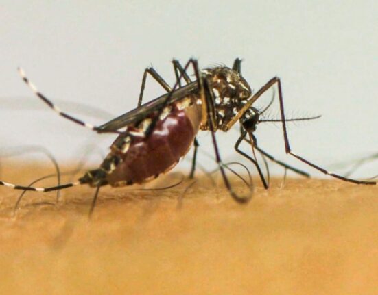 pais-tem-4-mortes-confirmadas-por-dengue-em-2025-e-investiga-mais-62