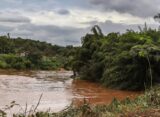 estudo-detecta-presenca-de-metais-na-urina-de-criancas-em-brumadinho