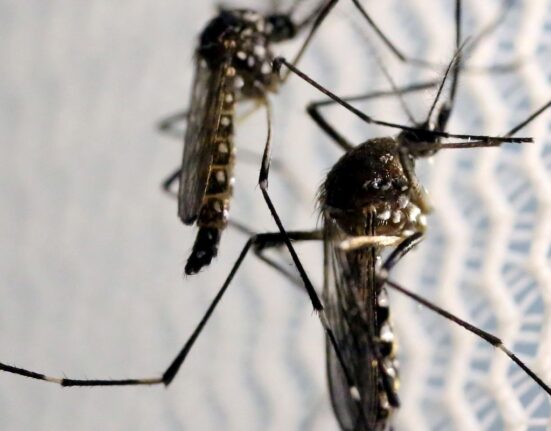 obitos-por-dengue-chegam-a-14-em-sao-paulo-e-a-21-no-brasil-em-2025