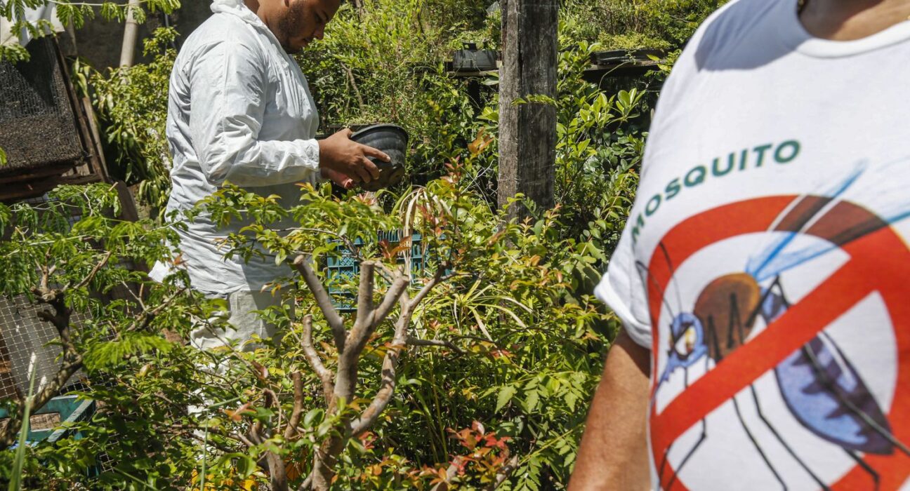 dengue-em-sp:-total-de-casos-nao-surpreende,-mas-obitos-sim,-diz-saude