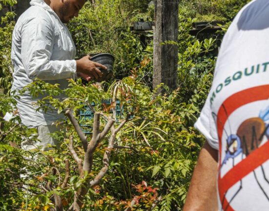 dengue-em-sp:-total-de-casos-nao-surpreende,-mas-obitos-sim,-diz-saude