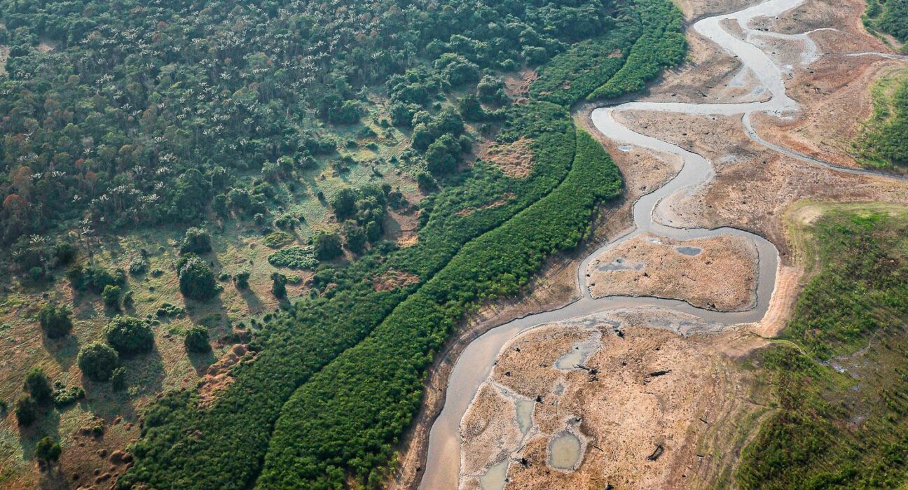 pesquisa-com-bacterias-na-amazonia-pode-desenvolver-novos-medicamentos