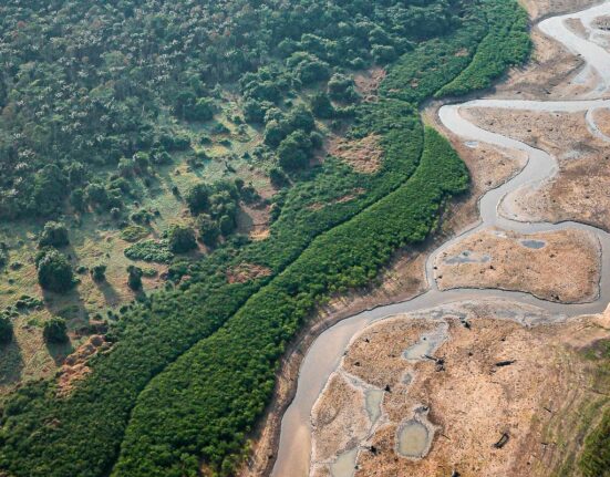 pesquisa-com-bacterias-na-amazonia-pode-desenvolver-novos-medicamentos