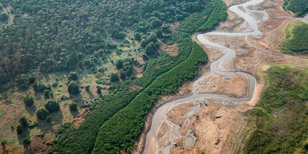 pesquisa-com-bacterias-na-amazonia-pode-desenvolver-novos-medicamentos