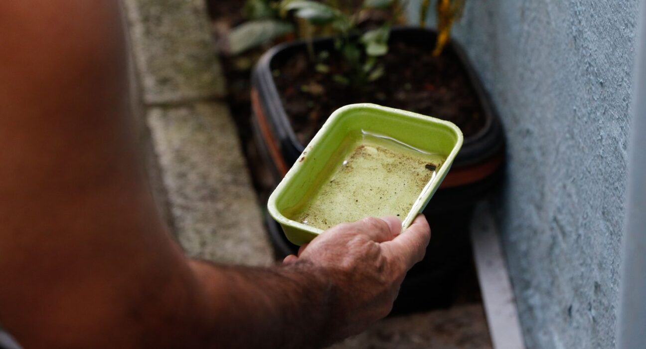 menina-e-primeira-morte-por-dengue-confirmada-na-capital-de-sao-paulo