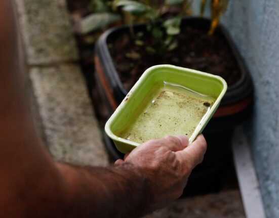 menina-e-primeira-morte-por-dengue-confirmada-na-capital-de-sao-paulo