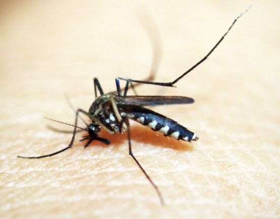 opas-emite-alerta-para-risco-de-surtos-de-dengue-3-nas-americas