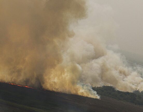 dino-homologa-parcialmente-plano-anti-incendios-na-amazonia-e-pantanal