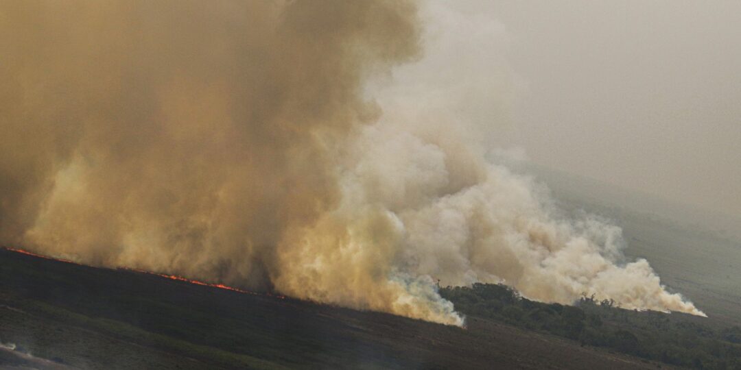 dino-homologa-parcialmente-plano-anti-incendios-na-amazonia-e-pantanal