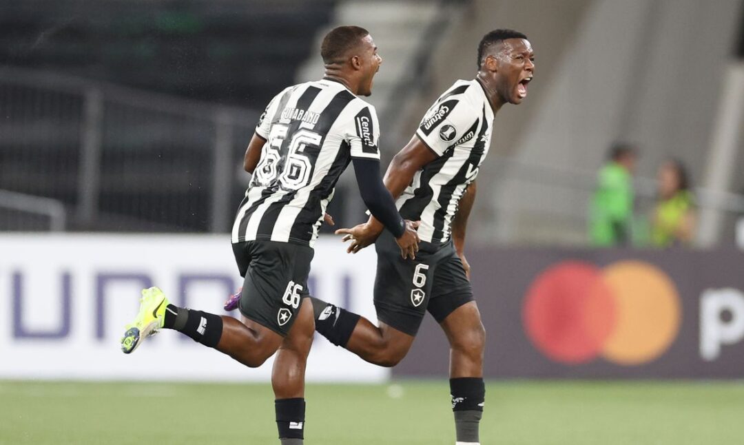 Vitor Silva/Botafogo/Direitos Reservados botafogo, carabobo, libertadores