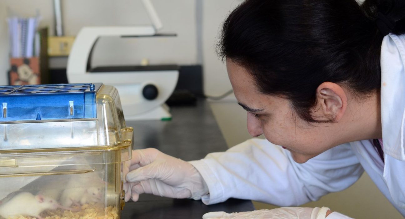 tecidos-feitos-em-laboratorio-podem-aperfeicoar-testes-de-medicamentos