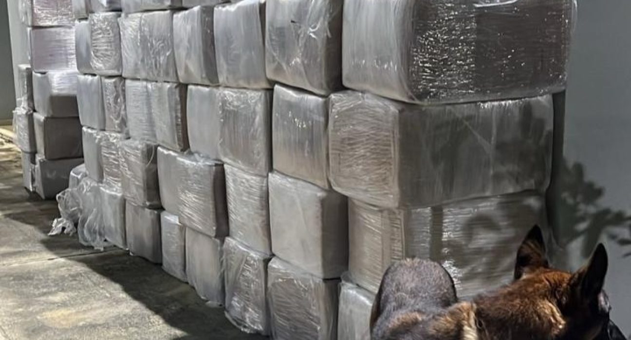ficcos-ba-e-sp,-pm,-pf-e-prf-interceptam-cerca-de-6-toneladas-de-maconha