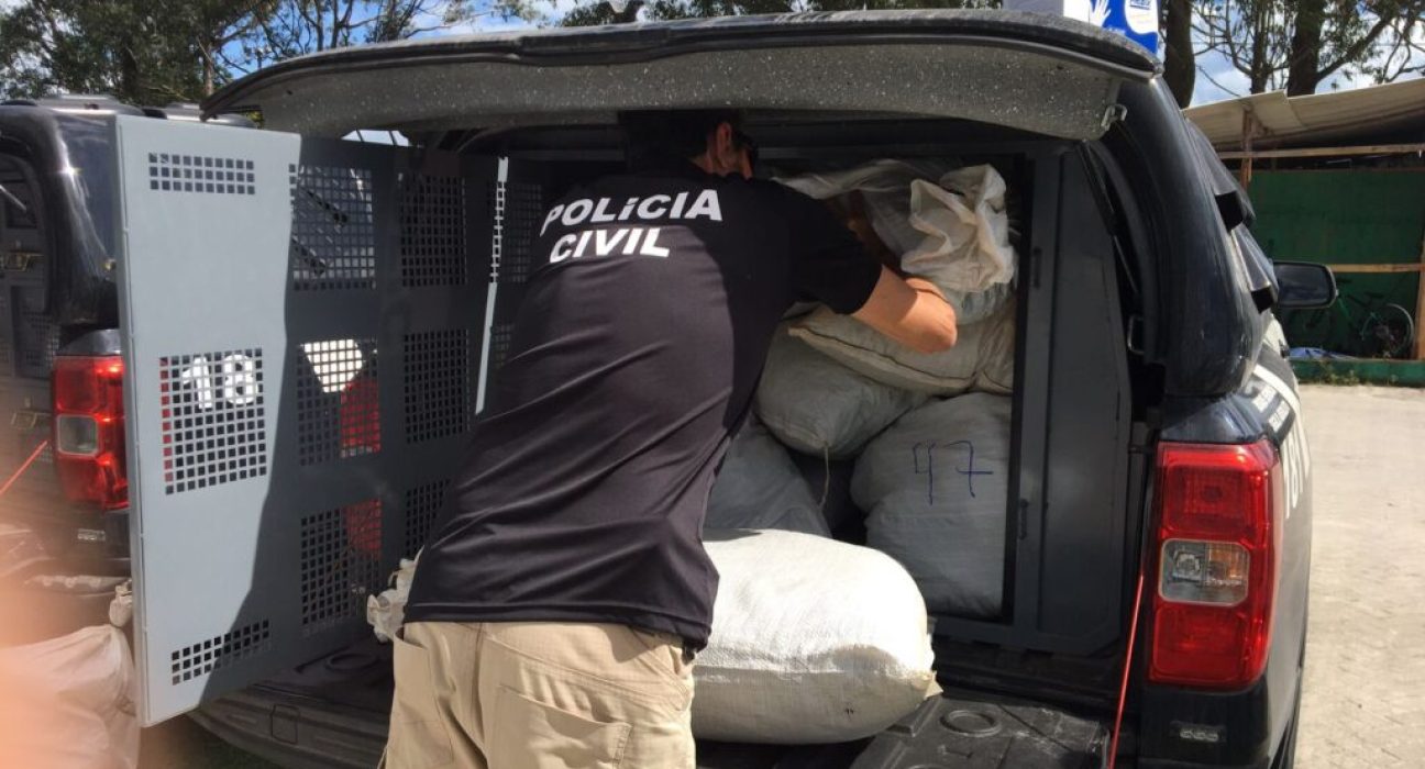 policia-civil-incinera-mais-de-uma-tonelada-de-drogas-no-interior-da-bahia