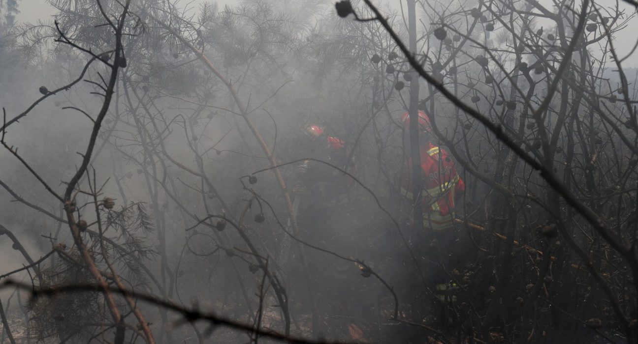 ue:-incendios-florestais-ja-queimaram-mais-de-1-milhao-de-hectares