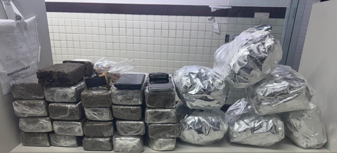 Materiais apreendidos são exibidos