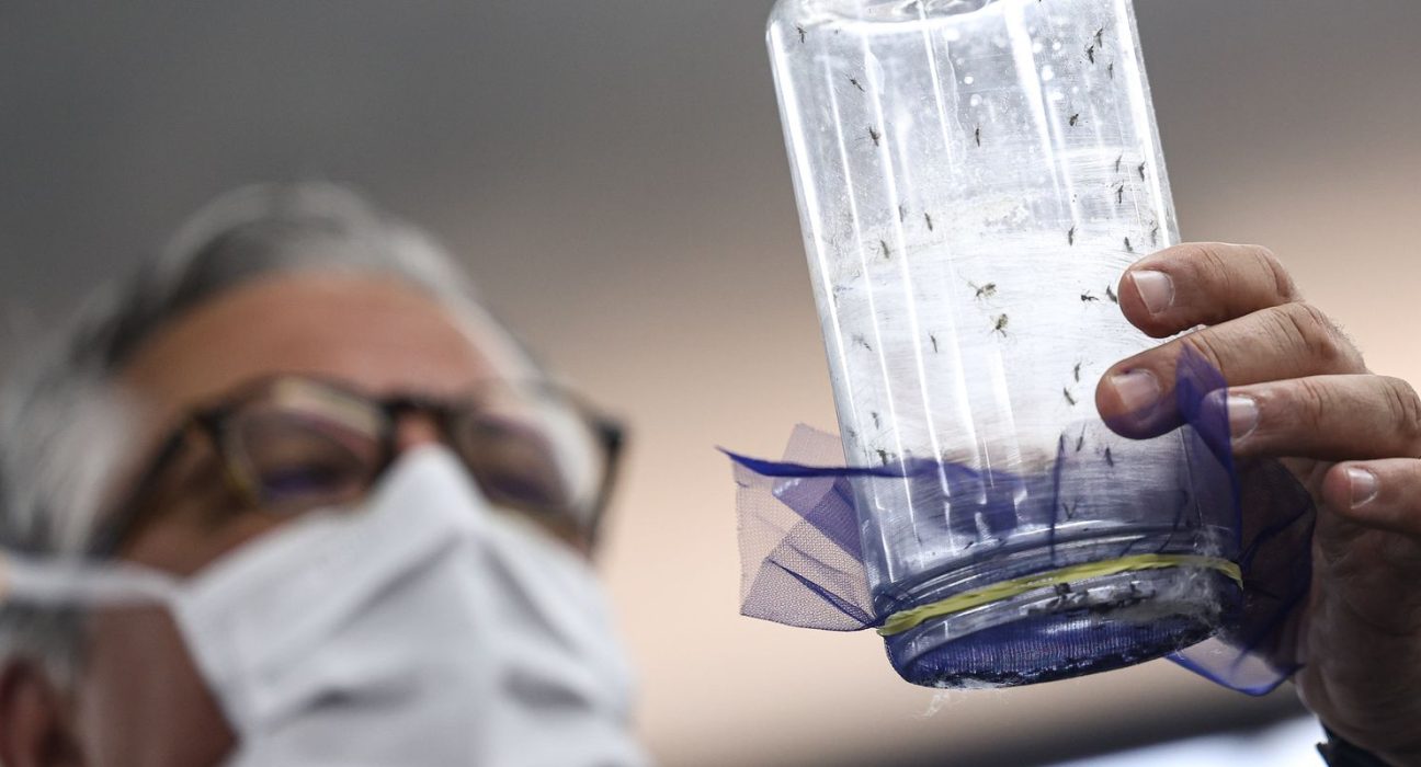 fabrica-de-mosquitos-oferece-tecnologias-para-reducao-da-dengue