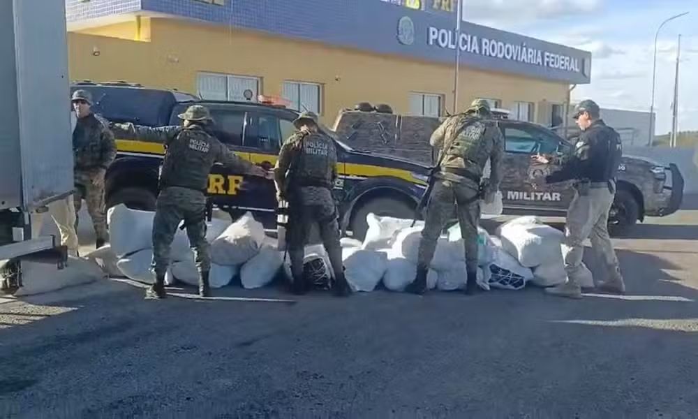 Materiais apreendidos são exibidos