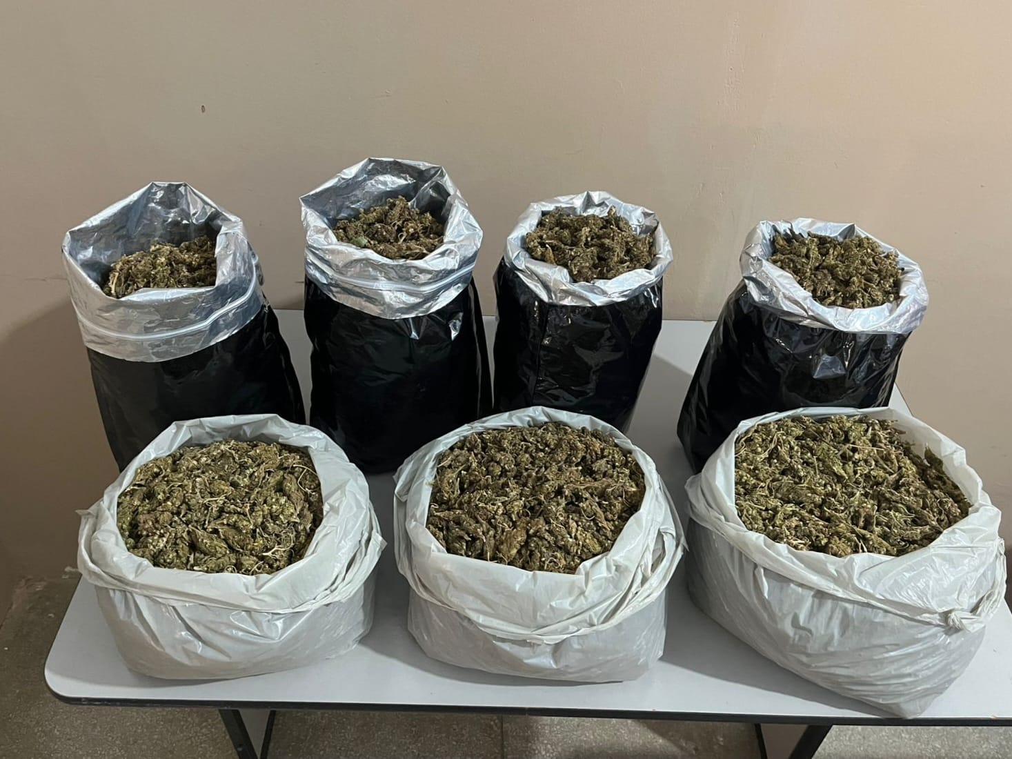 PM apreende 7 kg de maconha em Curaçá