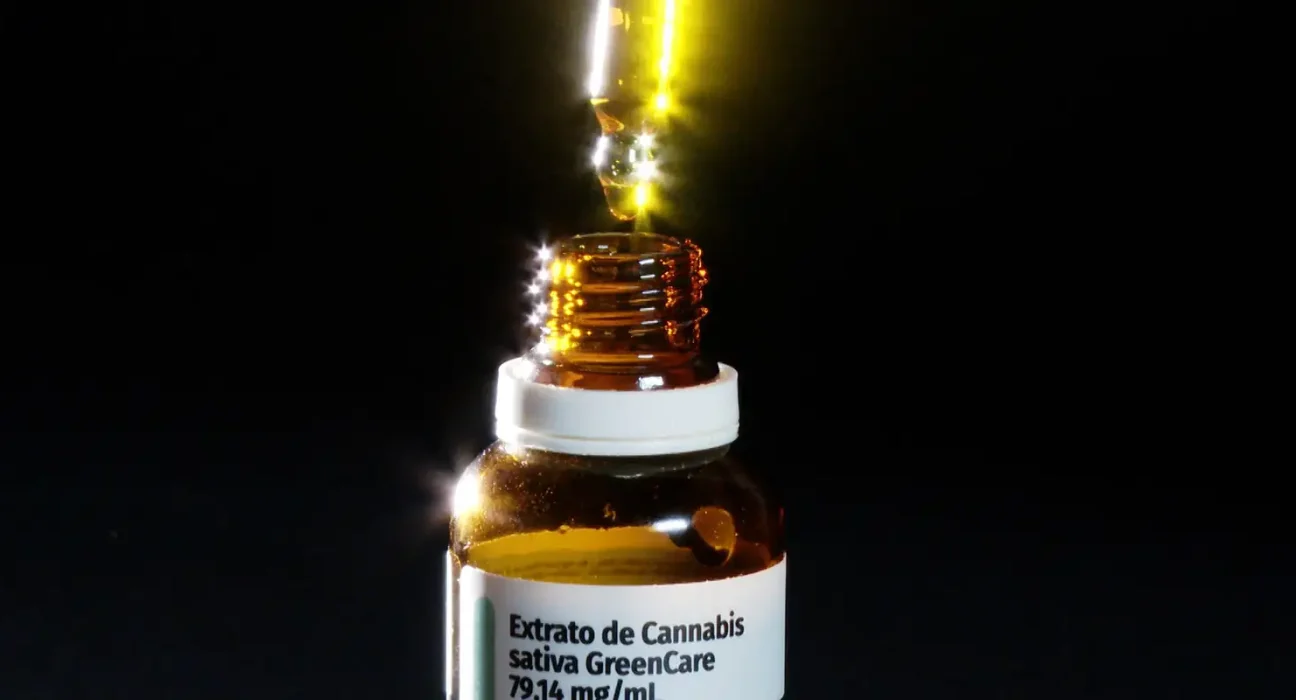 anvisa-aprova-cultivo-de-cannabis-por-empresas-e-amplia-acesso
