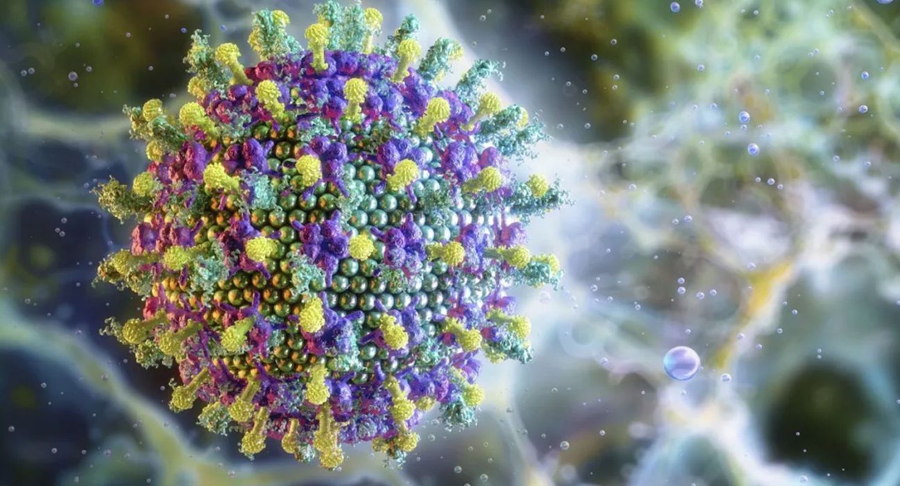 nipah:-saiba-mais-sobre-o-virus-que-preocupa-a-asia