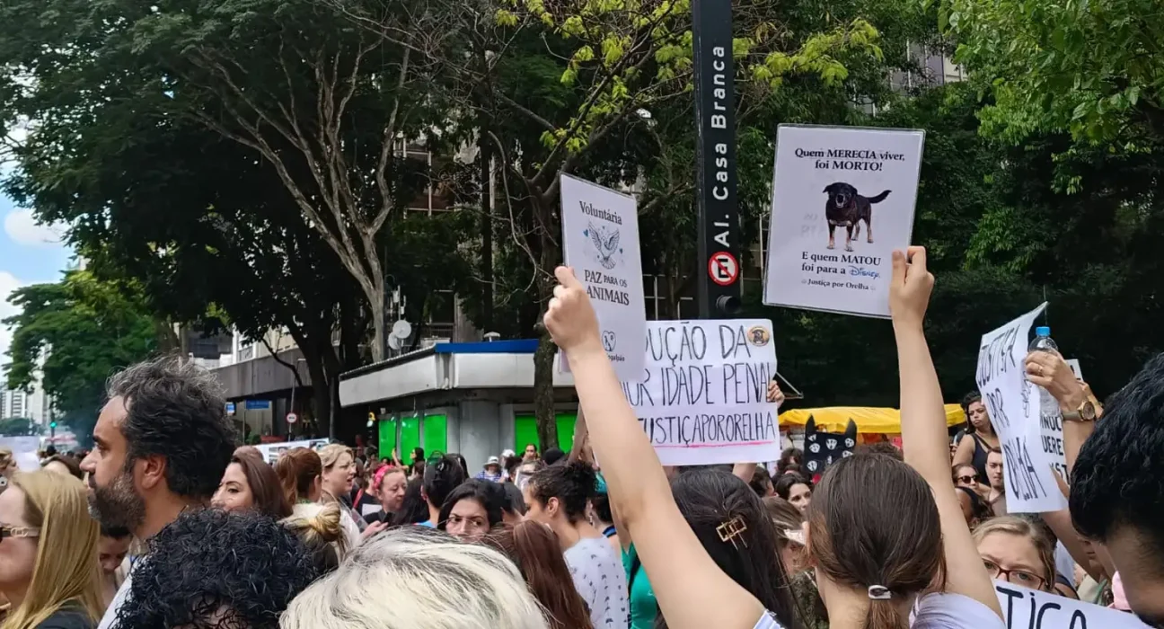 centenas-de-pessoas-em-sao-paulo-pedem-justica-pelo-cao-orelha
