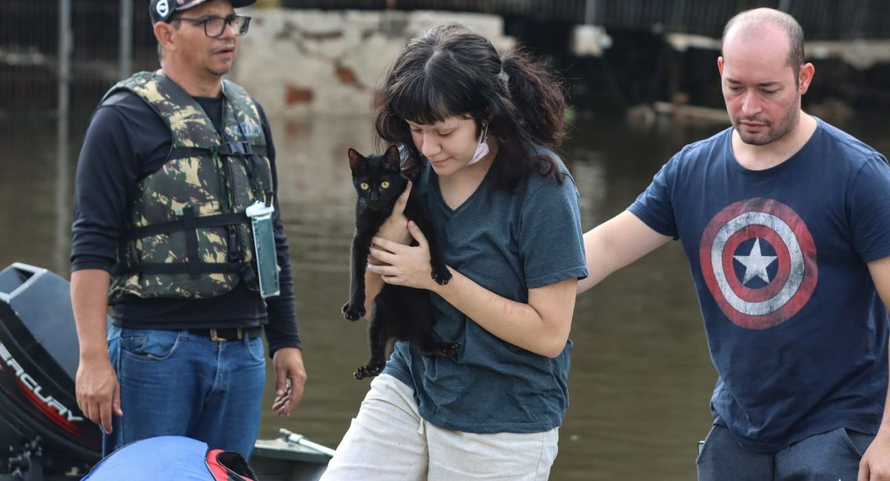 senado-aprova-politica-de-protecao-a-animais-resgatados-em-desastres