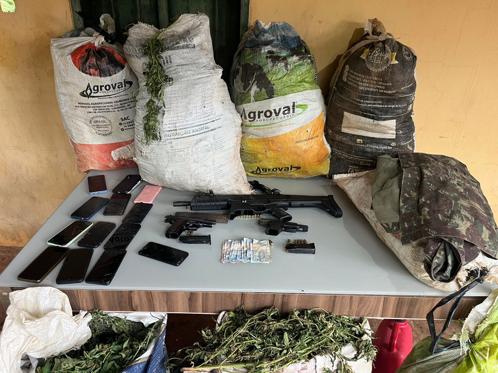 Maior apreensão de drogas de 2026 acumula 3 toneladas de maconha encontradas e 200 mil pés da erva erradicados