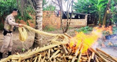 pm-desativa-fabrica-clandestina-de-explosivos-em-sapeacu