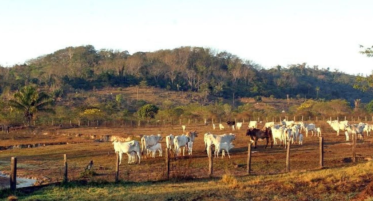 stf-mantem-lei-que-limita-compra-de-terras-por-empresas-estrangeiras