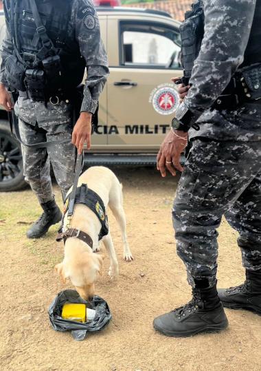 com-canis-do-batalhao-de-choque-e-da-core,-operacao-cerco-encontra-drogas-e-aprofunda-buscas-em-area-de-mata