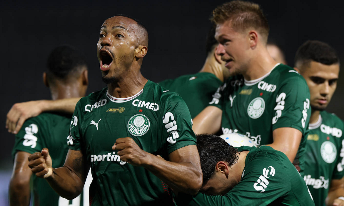 Cesar Greco/Palmeiras/Direitos Reservados palmeiras, grêmio, brasileiro