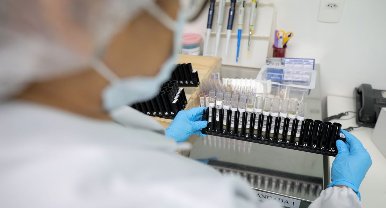 fiocruz-obtem-patente-para-tratamento-contra-malaria-resistente