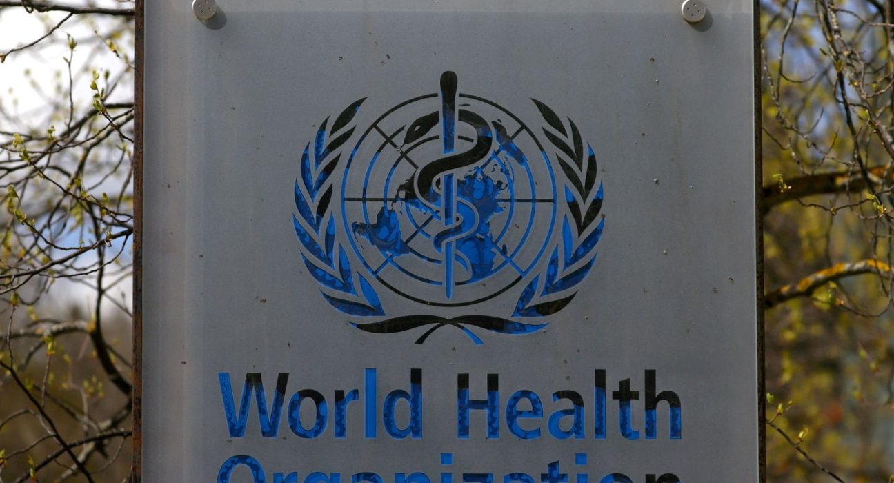 hantavirus:-oms-confirma-oito-casos-de-cepa-que-causou-surto-em-navio