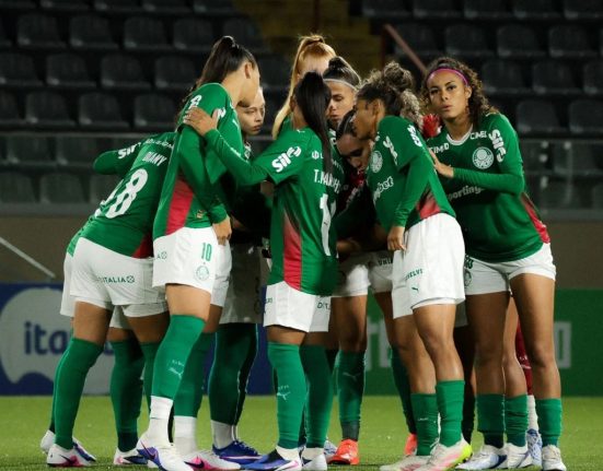 palmeiras-derrota-botafogo-e-se-aproxima-da-lideranca-no-br-feminino