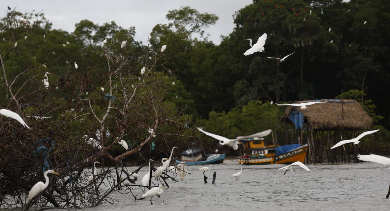 amazonia-soberana:-programa-vai-combater-crimes-em-areas-de-fronteira