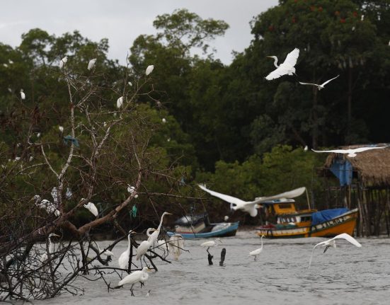 amazonia-soberana:-programa-vai-combater-crimes-em-areas-de-fronteira