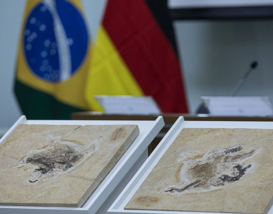 brasil-quer-recuperar-dinossauros-e-patrimonios-que-estao-em-14-paises